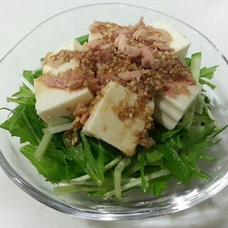 水菜・きゅうり・豆腐・ツナのサラダ